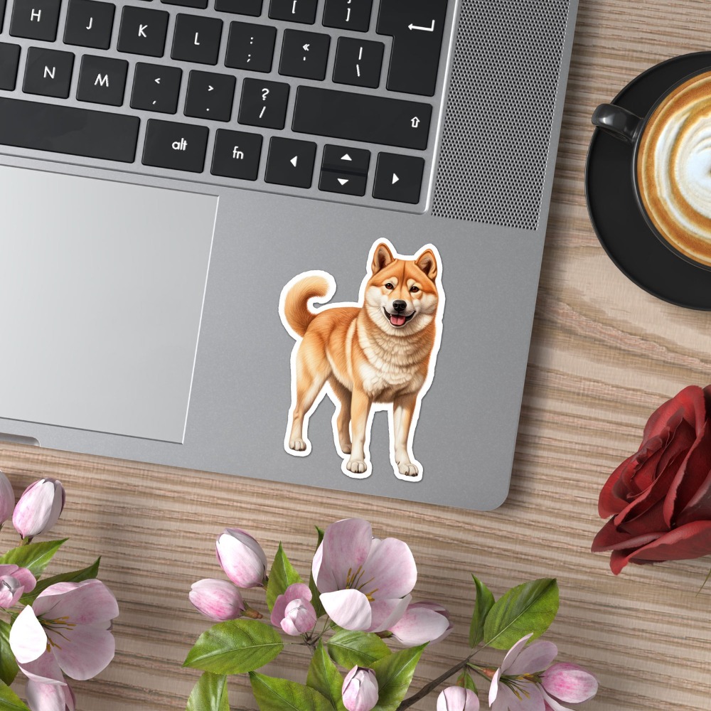Stiker Motor Kreatif Tahan Gor - Laptop Accessories Best ulasan dan harga